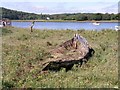 Old wreck at Hook Colliery Quay.