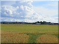 Farmland at Muirton