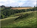 Field by Glazegate Lane