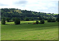 Pasture in the Aeron Valley, Ceredigion