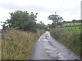 Lane past Amalwhidden Farm