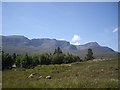 View towards Beinn Bhan from Couldoran