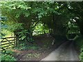 Lane to Longcombe