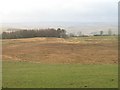 Wetland, Borthwickshiels