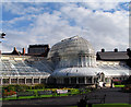 J3372 : The Palm House, Botanic Gardens, Belfast by Rossographer