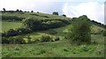 Hillside, Longcombe