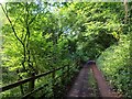 Lane to Fleet Mill