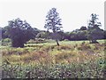 Wealden countryside near Spraysbridge Farm, Westfield