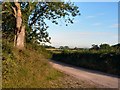 Farm road between Llandow and Clemenstone