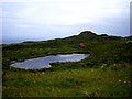 Roadside lochan