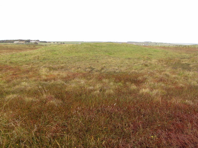 Hempriggs Chambered Cairn from East