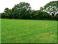 Part of a small field north of Malmesbury