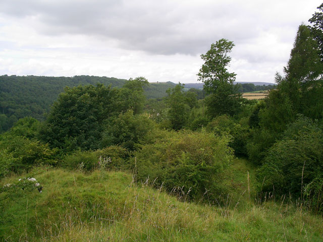 Rumsdale Plantation and Douthwaite Dale