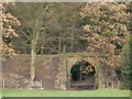 Tunnel under disused rail track