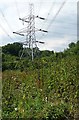 SU6075 : Pylon near Upper Basildon by Graham Horn