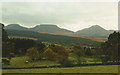 Fields at Bwlch-y-ffordd