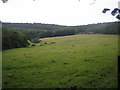 Farmland near Beacon Hill