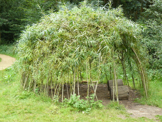 Living Willow Dome