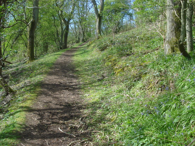 Path climbing Hollybush Hill