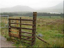 NN4760 : Entrance to forestry by Lis Burke
