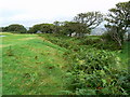 Caerau Hillfort