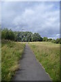 Footpath between Norton and Tilery