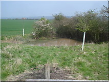 SP0253 : Small pond near Morton Wood Farm by Trevor Rickard