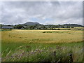 O2814 : Farmland north of Greystones by David Quinn
