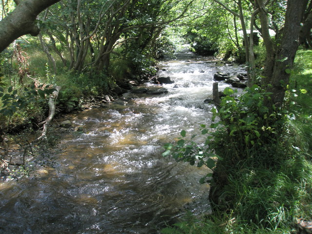 The River Heddon flows between the trees © Basher Eyre cc-by-sa/2.0 ...