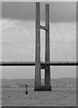 ST5186 : Second Severn crossing bridge support masts by Steve  Fareham