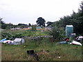 Allotments at Risby