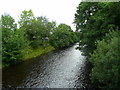 River Tawe - upstream