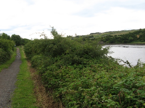 Bridleway & River Wear near Claxheugh Rock