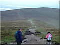 O1710 : The Wicklow way from Djouce Mountain by sarah gallagher