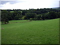 The view towards Old Cilgwyn