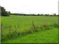 Derrycree Townland