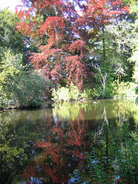 Smeaton Lake near Prestonkirk © Renata Edge cc-by-sa/2.0 :: Geograph ...