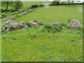 Craighall Mill Stone Circle from South