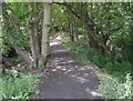 Footpath - Clough Lane, Paddock