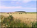 Haymaking at Drakemires Farm