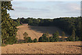 Valley of the River Linnet