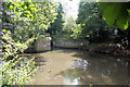 Entry to Turf Lock, River Lark