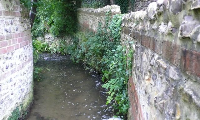Mill Stream Cerne Abbas