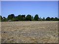 Stubble field next to Teversham Recreation Ground