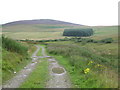 Farm Track, Blackhillock