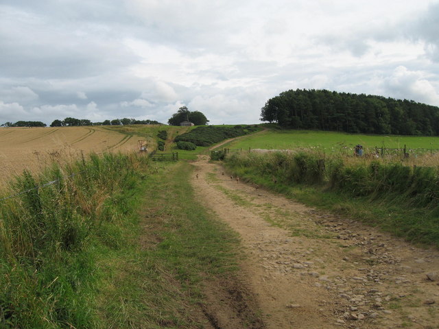On farm track looking towards Tod-le-Moor farm