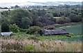 Rhubarb shed