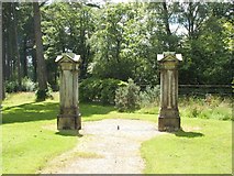 NS1385 : The Golden Gates at Benmore Gardens by Lairich Rig
