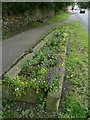 Old stone trough - originally used for watering animals