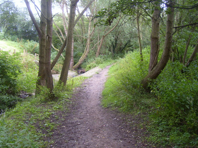 Footpath through the trees